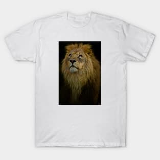 Lion, Waiting T-Shirt